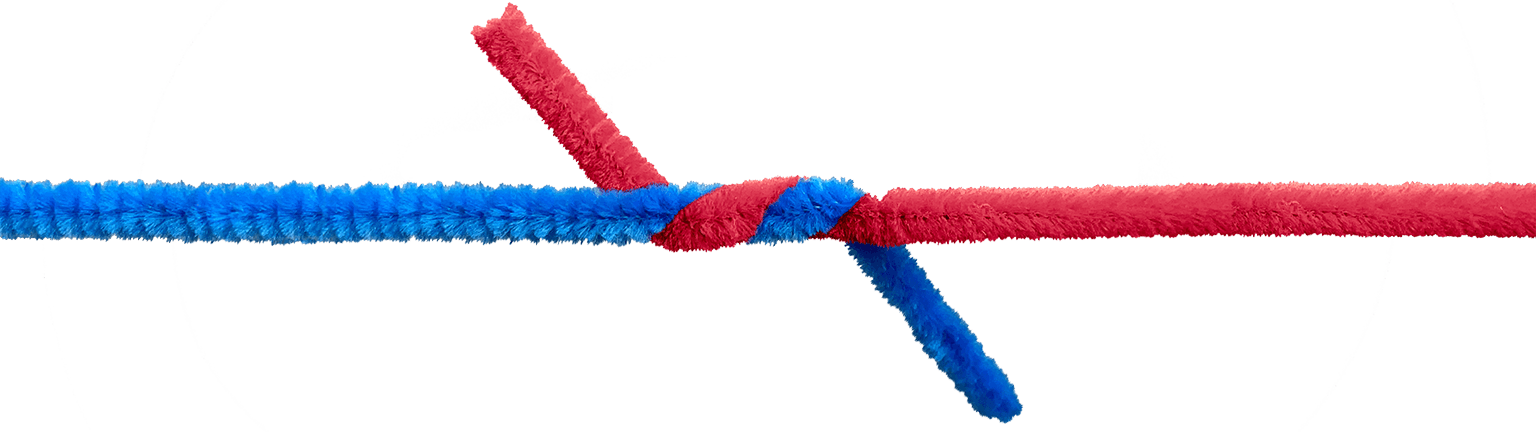 Red and blue ropes intertwined together in the middle